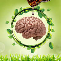 Ayurvedic Brain Tonic