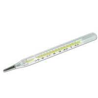 Prismatic Clinical Thermometer