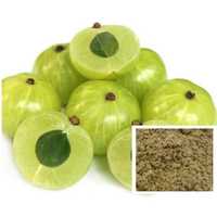 Amla Extract