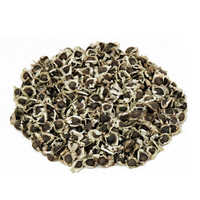 Moringa Seeds