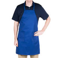 Insulated Apron
