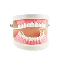 Acrylic Teeth