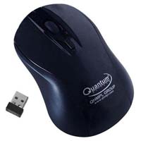 Quantum Wireless Mouse