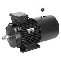 Electric Brake Motor