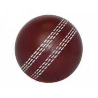 Cricket Balls