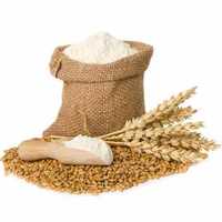 Organic Wheat Flour