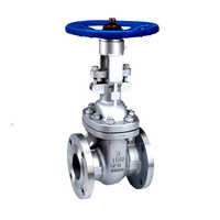 Stainless Steel Gate Valves