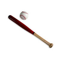 Baseball Bat