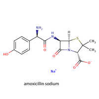 Amoxicillin Sodium