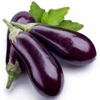 Brinjal