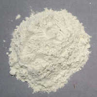 Tamarind Gum Powder