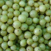 Frozen amla