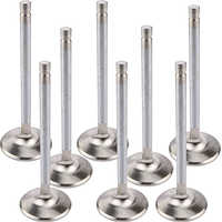 Titanium valves