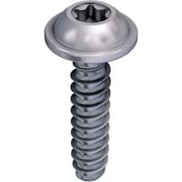 Pt screw