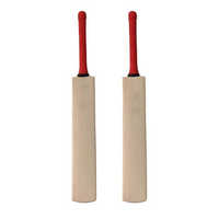 Kashmir willow bat