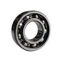 Hybrid bearing