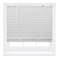 Plastic blind