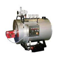 Boiler pressure parts