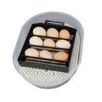 Egg hatch incubators
