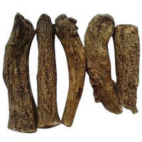 Costus root