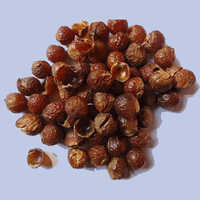 Soap nut shell