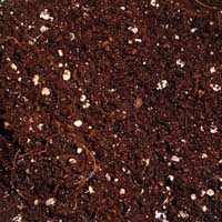 Coco peat powder