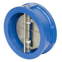 Dual plate check valve