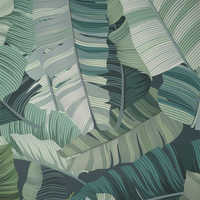 Wall murals