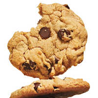 Chocolate Chip
