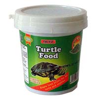 Turtle food