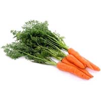 Hybrid carrot seeds