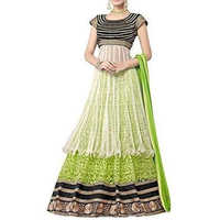 Net lehenga choli