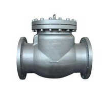 Check Valve Casting
