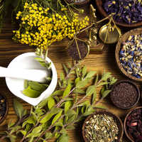 Cancer Herbal Medicine
