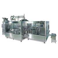 Water bottling machine