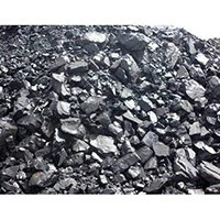 Assam coal