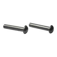 Flat head rivets