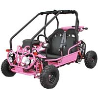 Motor Cart