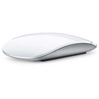 Apple mouse