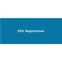 Esi registration services