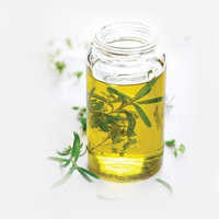 Pain Relief Oil