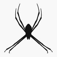 स्पाइडर क्रॉस