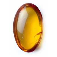 Amber gemstone