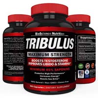 Tribulus Terrestris Extract