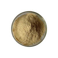 Protein hydrolysate