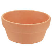 Bonsai pot