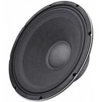 Professional speaker