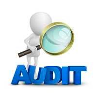Corporate Audit Services