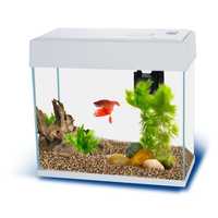 Aquarium equipment