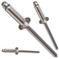Steel Blind Rivet